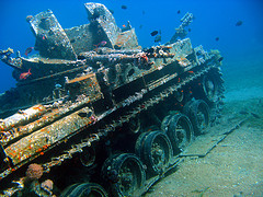 Aqaba Marine Park